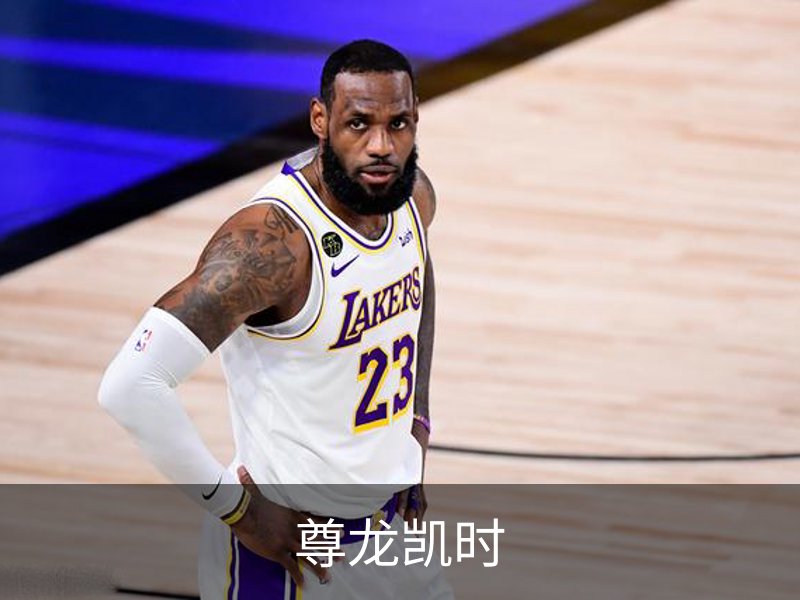 尊龙凯时概况