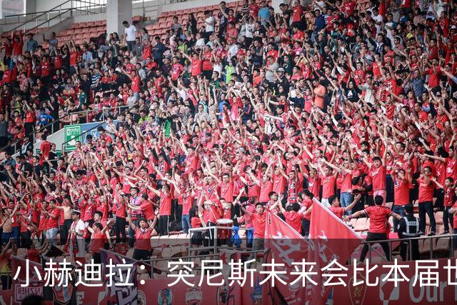 小赫迪拉：突尼斯未来会比本届世界杯更好 批评？我已经付出全力